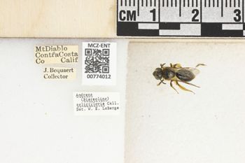 Media type: image;   Entomology 774012 Aspect: Labels